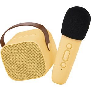 Boîte karaoké enceinte et micro