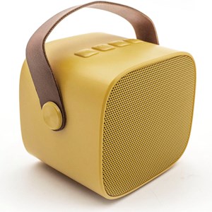 Boîte karaoké enceinte et micro