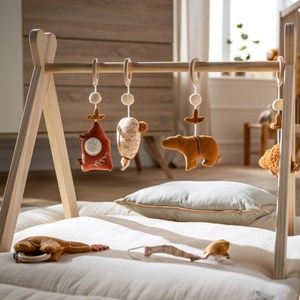 Arche d'éveil orsino