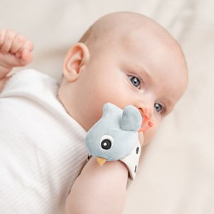 Lot de 2 bracelets hochets