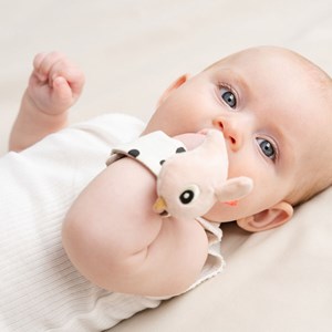 Lot de 2 bracelets hochets