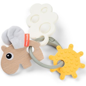 Anneau d'activités et de dentition