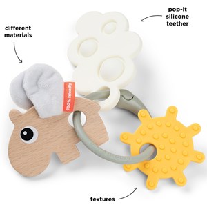 Anneau d'activités et de dentition