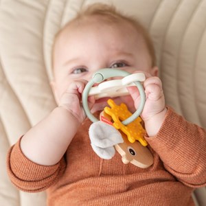 Anneau d'activités et de dentition