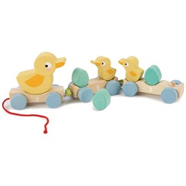 Canards à tirer