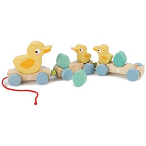 Canards à tirer