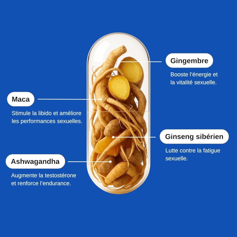 Libido boost homme - cure désir - 2 mois (Laborantin) - Image 2