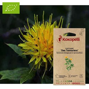 Carthame carthame des teinturiers- grain