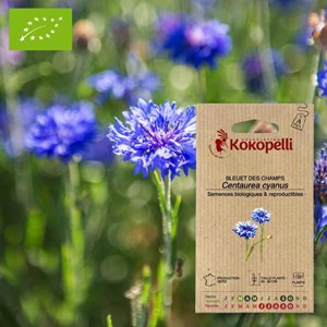 Bleuet des champs- graines bio à semer