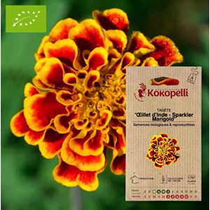 Tagète - œillet d'inde sparkler marigold