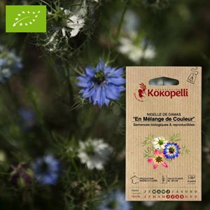 Nigelle de damas en mélange de couleur-