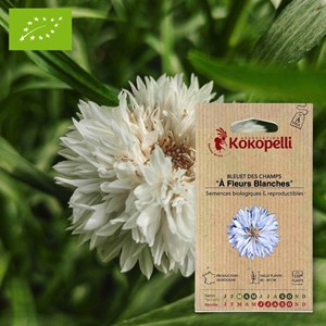 Bleuet à fleurs blanches- graines bio à
