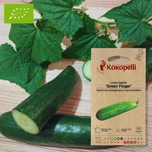 Concombre green finger- graines bio à se