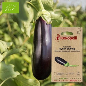 Aubergine syrian stuffing- graines bio à