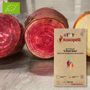 Betterave 3 root grex- graines bio à sem