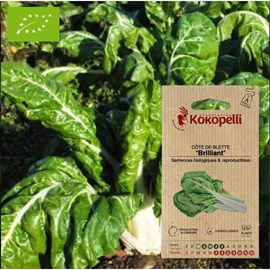 Côte de blette brilliant- graines bio à