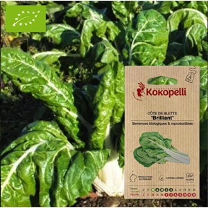 Côte de blette brilliant- graines bio à
