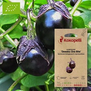 Aubergine dewako one bite- graines bio à