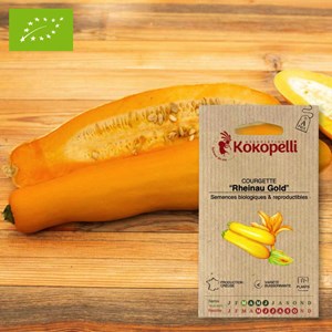 Courgette rheinau gold- graines bio à se