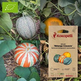 Melon mélange creusois- graines bio à se