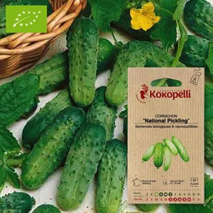 Cornichon national pickling- graines bio