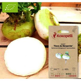 Navet rave de margeride- graines bio à s