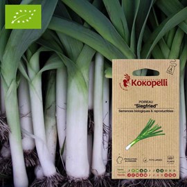 Poireau siegfried- graines bio à semer