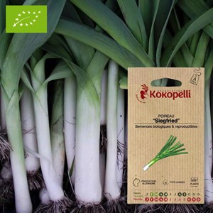 Poireau siegfried- graines bio à semer