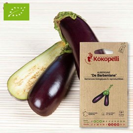 Aubergine de barbentane- graines bio à s