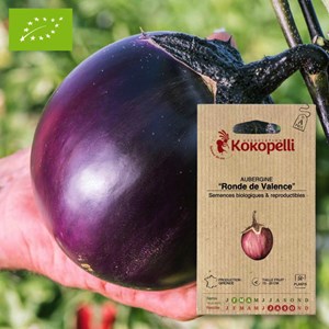 Aubergine ronde de valence- graines bio
