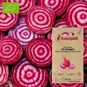 Betterave de chioggia- graines bio à sem