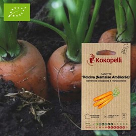 Carotte dolciva (nantaise améliorée)- gr