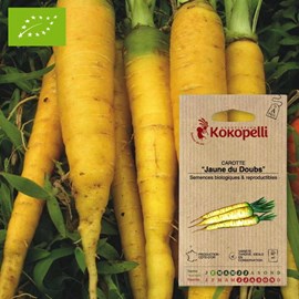 Carotte jaune du doubs- graines bio à se