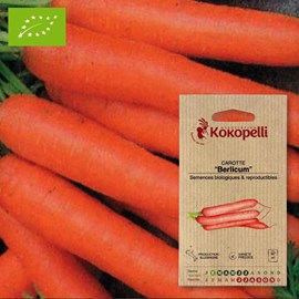 Carotte berlicum- graines bio à semer