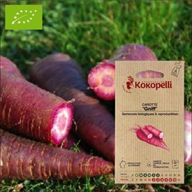 Carotte gniff- graines bio à semer