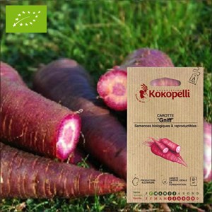 Carotte gniff- graines bio à semer