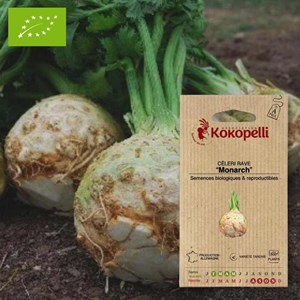 Céleri rave monarch- graines bio à semer
