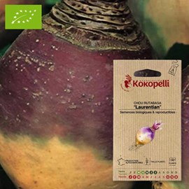Chou rutabaga laurentian- graines bio à