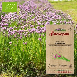 Ciboulette commune- graines bio à semer