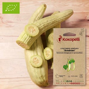 Concombre arménien concombre serpent- gr