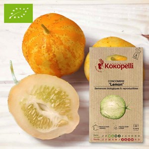 Concombre lemon- graines bio à semer