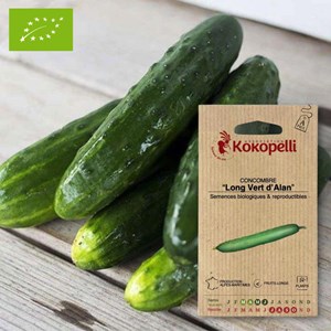 Concombre long vert d'alan- graines bio