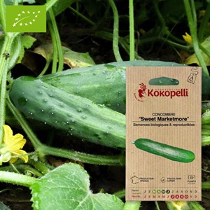 Concombre sweet marketmore- graines bio