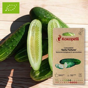 Concombre early fortune- graines bio à s