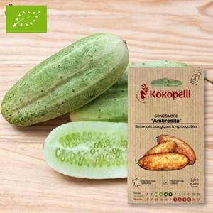 Concombre ambrosita- graines bio à semer