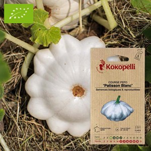 Courge pepo patisson blanc- graines bio
