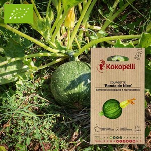 Courgette ronde de nice- graines bio à s