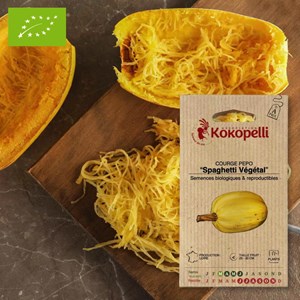 Courge pepo spaghetti végétal- graines b