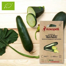 Courgette verte de milan- graines bio à