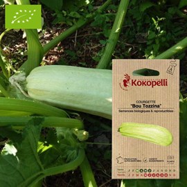 Courgette bou tozzina- graines bio à sem